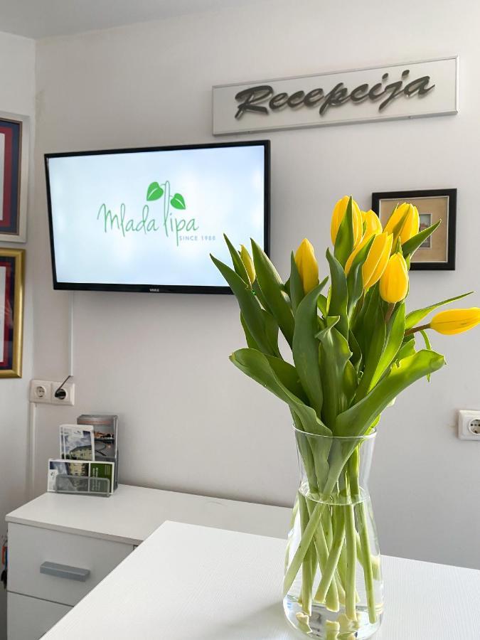 Guest House Mlada Lipa Maribor Exterior foto